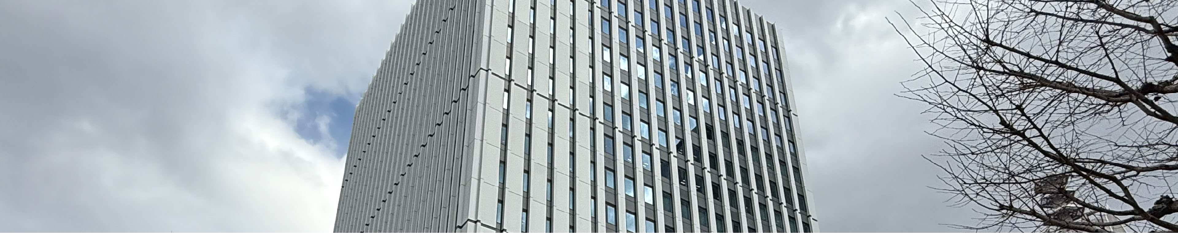 株式会社びけん